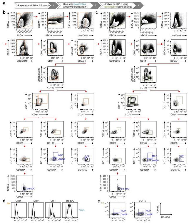 CD45 Antibody in Flow Cytometry (Flow)