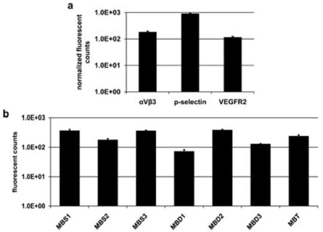 CD51 (Integrin alpha V) Antibody in Flow Cytometry (Flow)