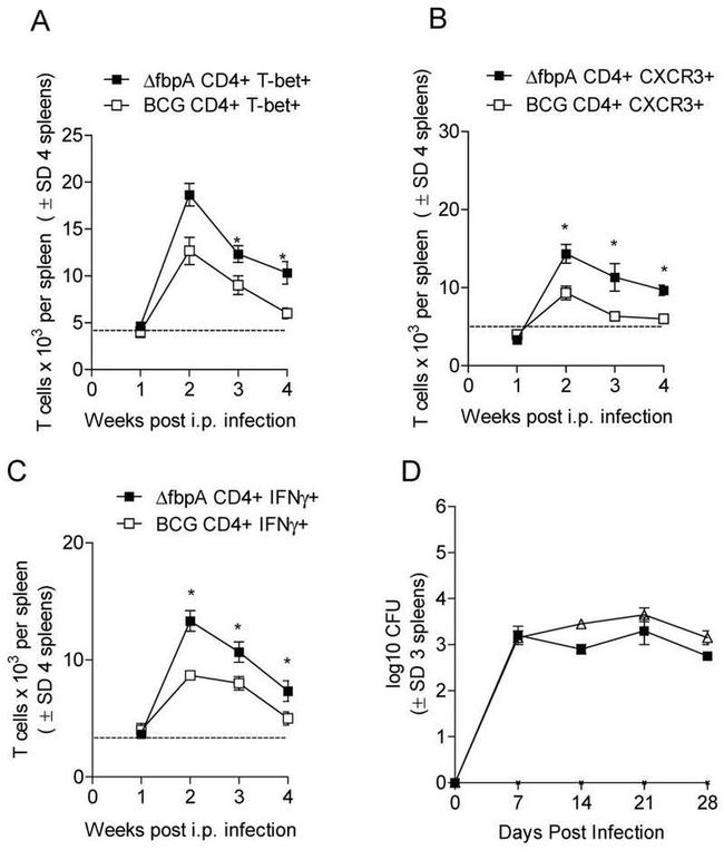 CD4 Antibody in Flow Cytometry (Flow)