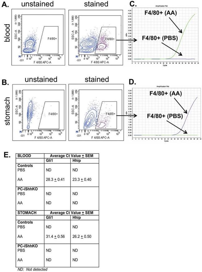 F4/80 Antibody in Flow Cytometry (Flow)