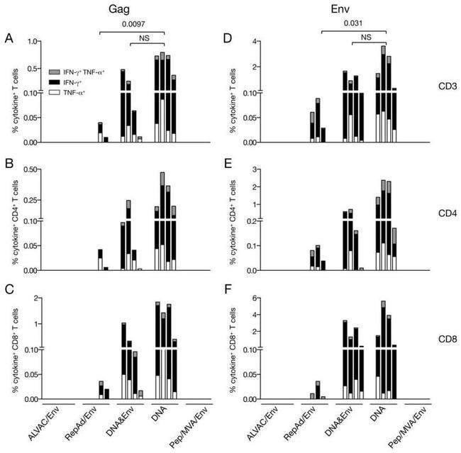 CD8 Antibody in Flow Cytometry (Flow)