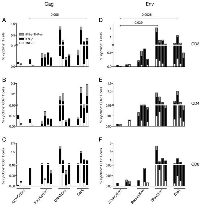 CD8 Antibody in Flow Cytometry (Flow)