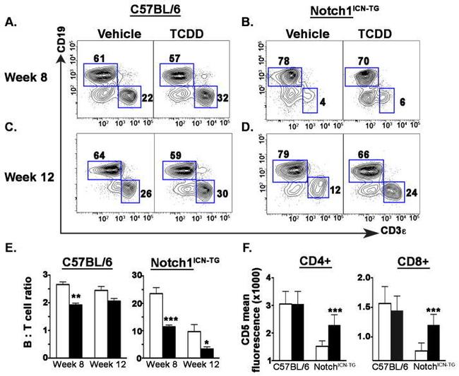 CD8 alpha Antibody in Flow Cytometry (Flow)