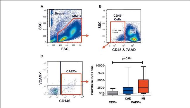 CD45 Antibody in Flow Cytometry (Flow)