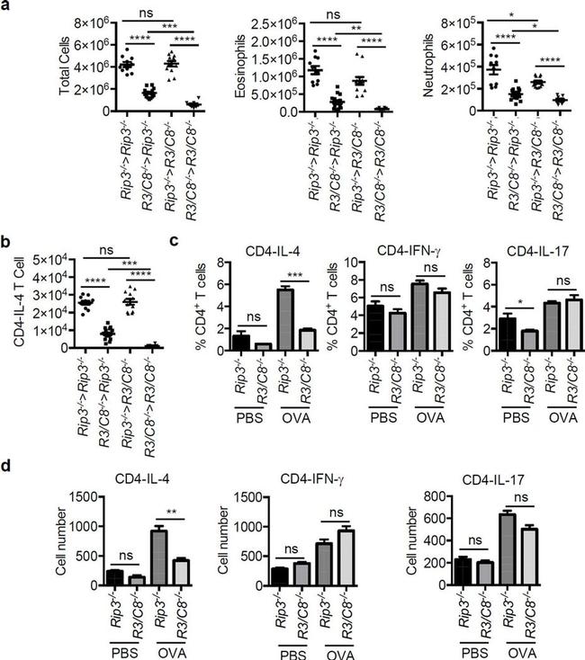 IL-17A Antibody in Flow Cytometry (Flow)