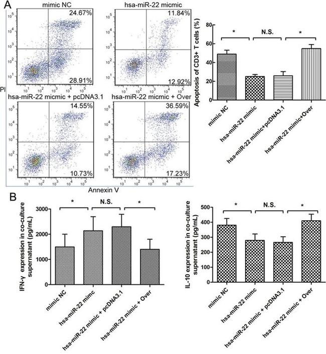 CD3 Antibody in Flow Cytometry (Flow)