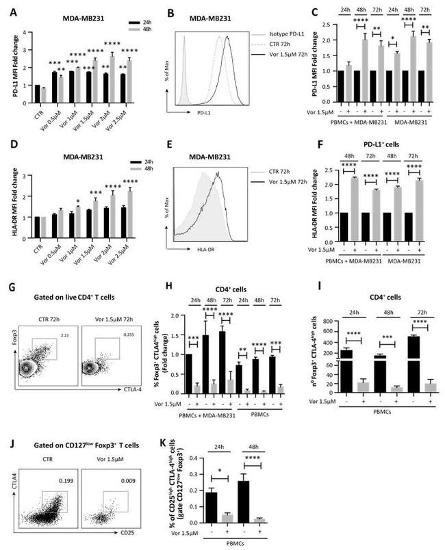 CD152 (CTLA-4) Antibody