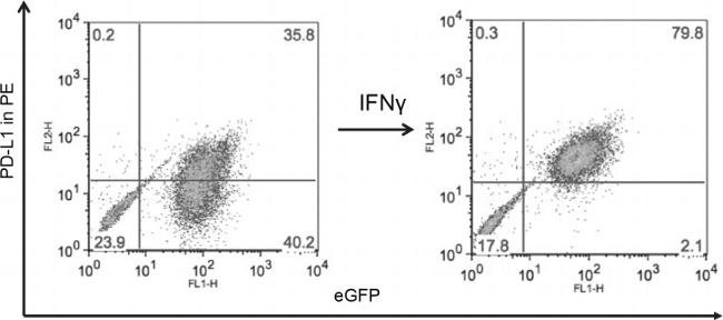 CD274 (PD-L1, B7-H1) Antibody in Flow Cytometry (Flow)