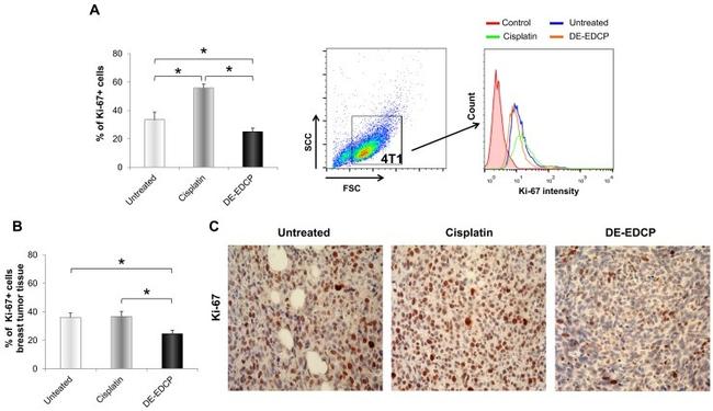 Ki-67 Antibody in Flow Cytometry (Flow)