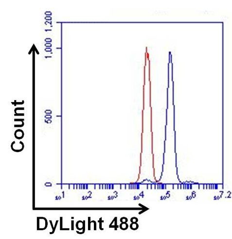 ERK2 Antibody in Flow Cytometry (Flow)