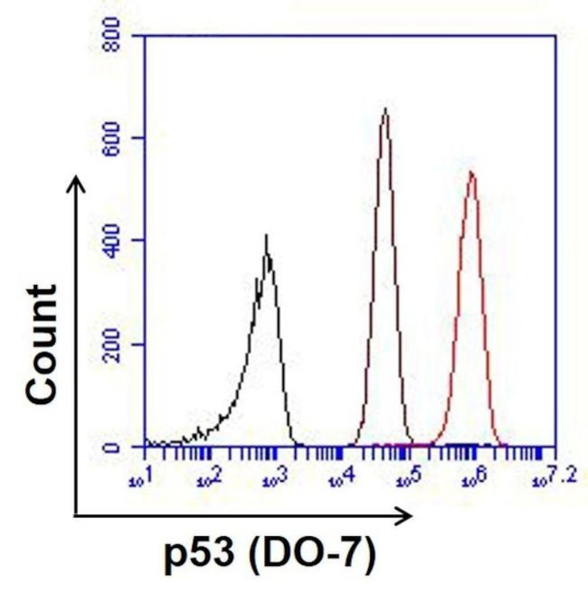 p53 Antibody in Flow Cytometry (Flow)