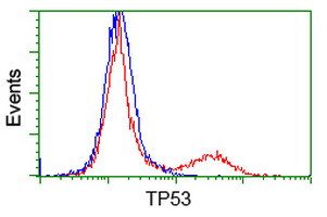 p53 Antibody in Flow Cytometry (Flow)