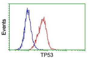 p53 Antibody in Flow Cytometry (Flow)