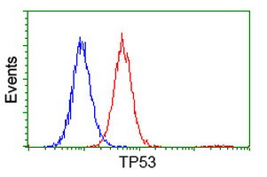 p53 Antibody in Flow Cytometry (Flow)