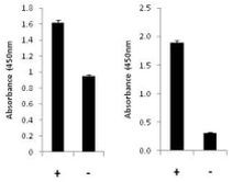 Multispecies p70 S6 Kinase (Total/Phospho) InstantOne™ ELISA Kit