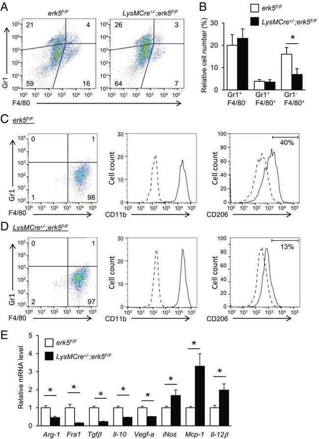 F4/80 Antibody in Flow Cytometry (Flow)