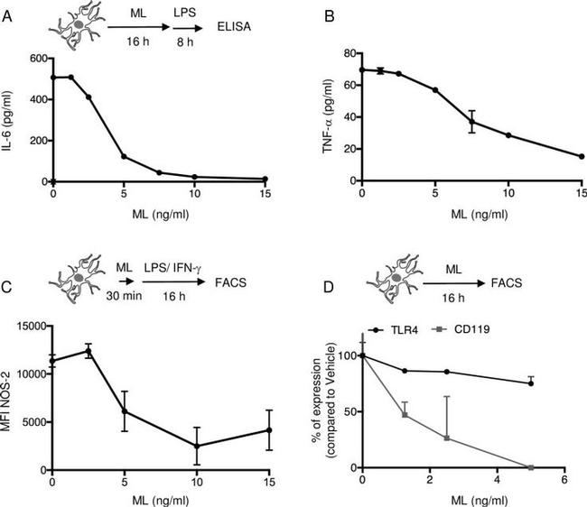 CD119 (IFN gamma Receptor 1) Antibody in Flow Cytometry (Flow)