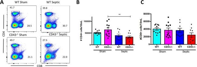 CD8 alpha Antibody in Flow Cytometry (Flow)