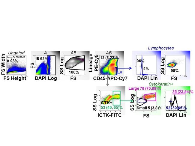 Pan Cytokeratin Antibody in Flow Cytometry (Flow)