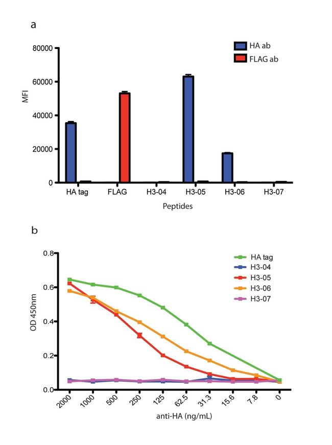 HA Tag Antibody in ELISA (ELISA)