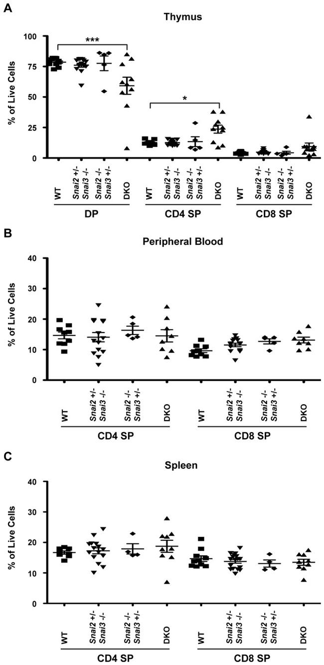 CD8b Antibody in Flow Cytometry (Flow)