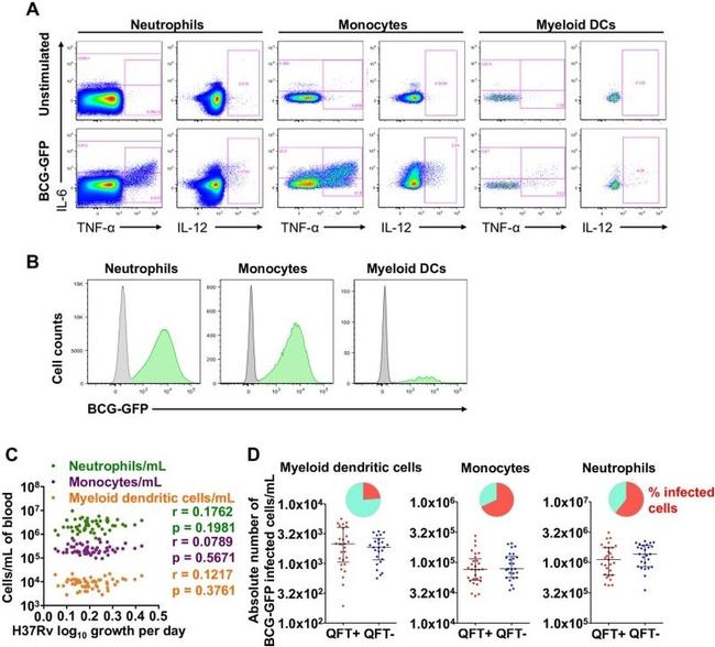 TNF alpha Antibody in Flow Cytometry (Flow)