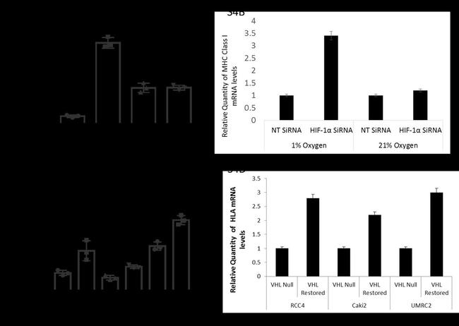 HLA-ABC Antibody in Flow Cytometry (Flow)