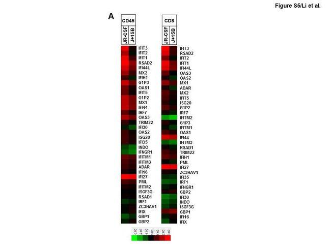 CD8 Antibody in Flow Cytometry (Flow)