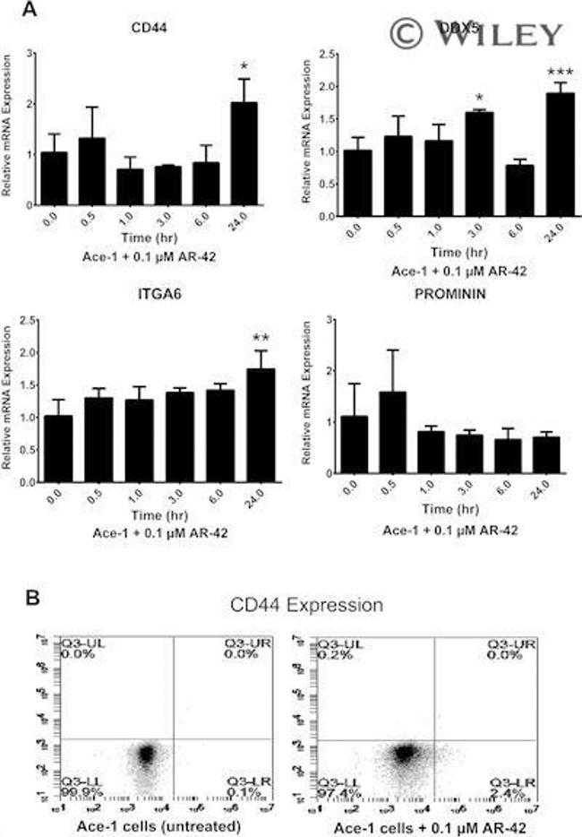 CD44 Antibody in Flow Cytometry (Flow)