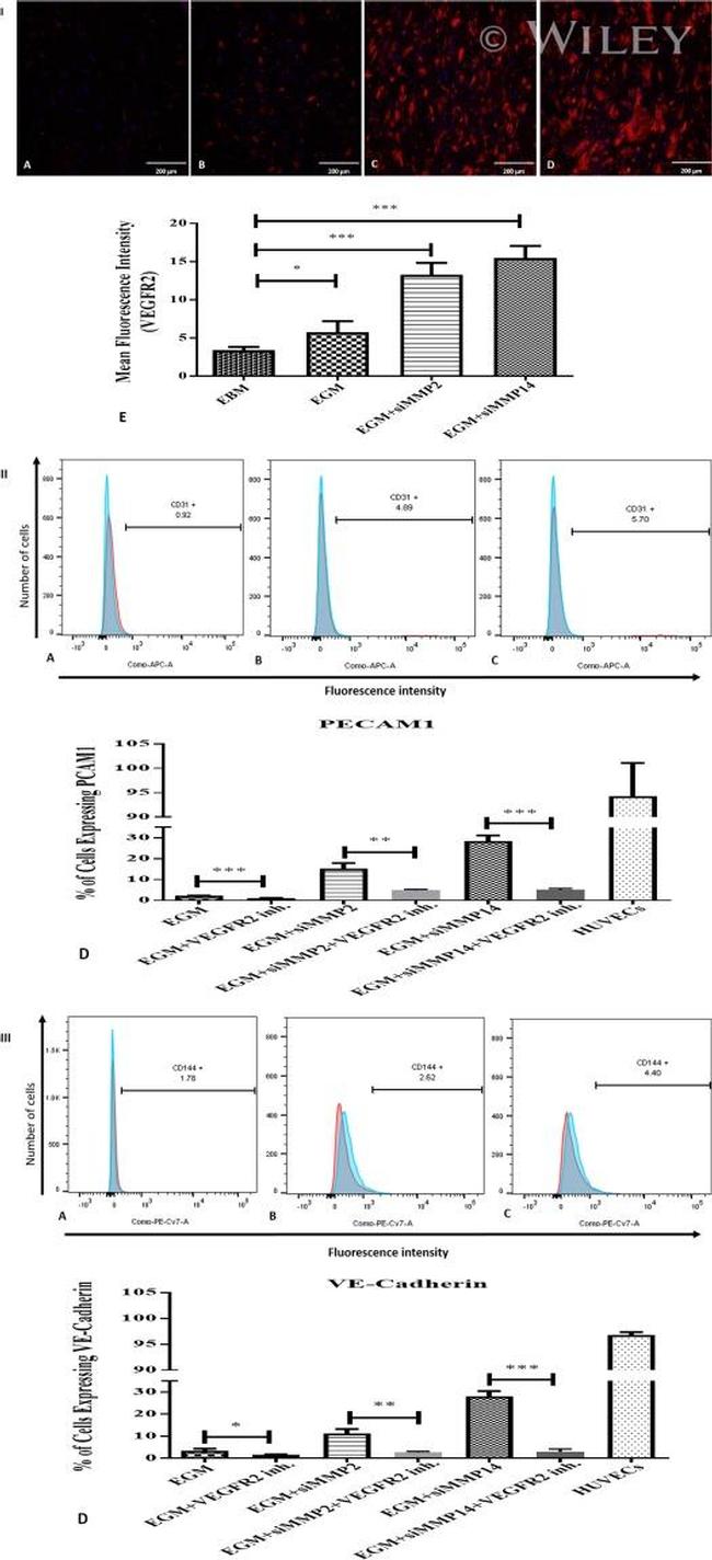 CD31 (PECAM-1) Antibody in Flow Cytometry (Flow)