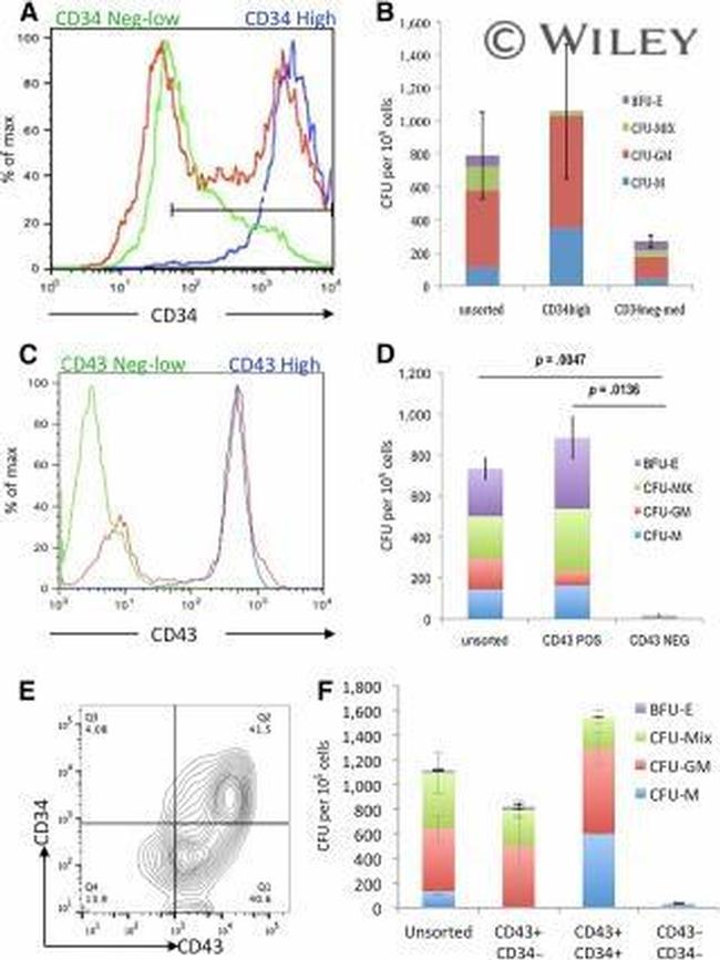 CD43 Antibody in Flow Cytometry (Flow)