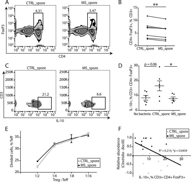 IL-10 Antibody in Flow Cytometry (Flow)