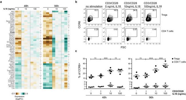 CD218a (IL-18Ra) Antibody in Flow Cytometry (Flow)