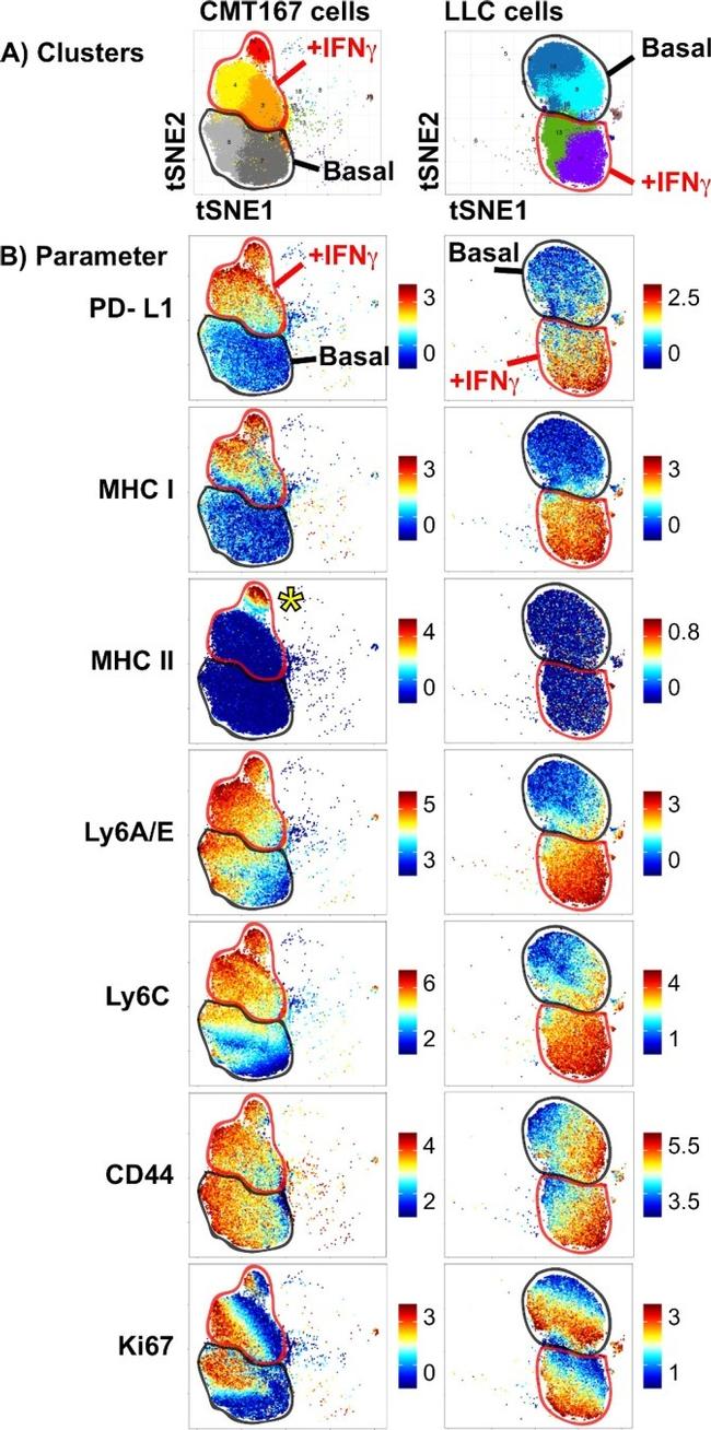 MHC Class II (I-A/I-E) Antibody in Flow Cytometry (Flow)