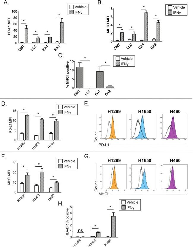 MHC Class I (H-2Kd/H-2Dd) Antibody in Flow Cytometry (Flow)