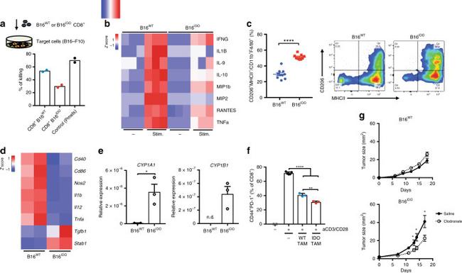 MHC Class II (I-A/I-E) Antibody in Flow Cytometry (Flow)