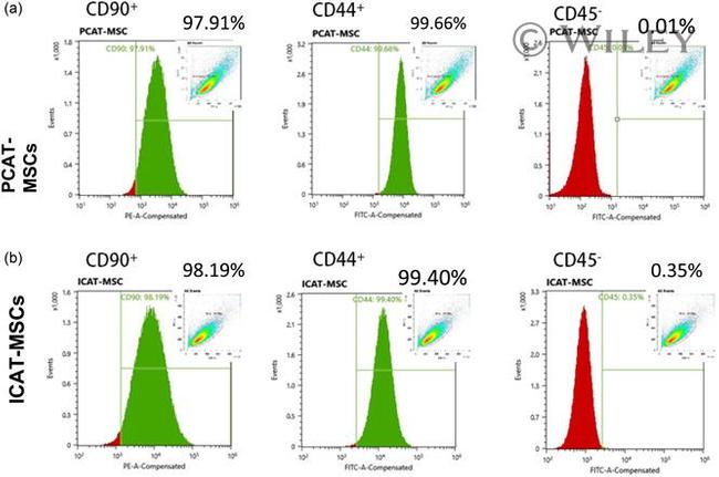 CD90 (Thy-1) Antibody in Flow Cytometry (Flow)