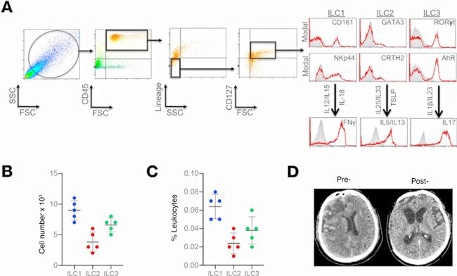 ROR gamma (t) Antibody in Flow Cytometry (Flow)