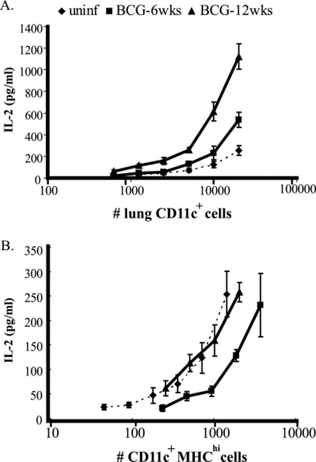 IL-2 Antibody in ELISA (ELISA)