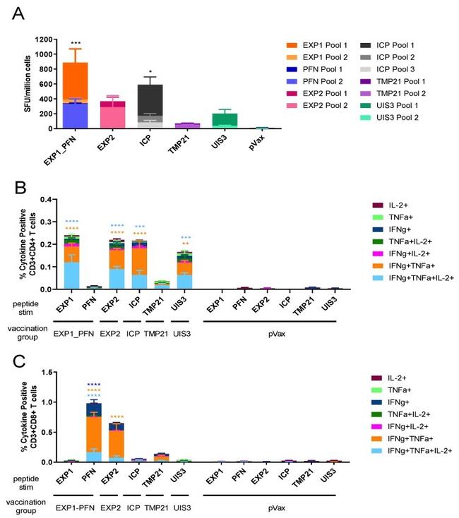 IL-2 Antibody in Flow Cytometry (Flow)