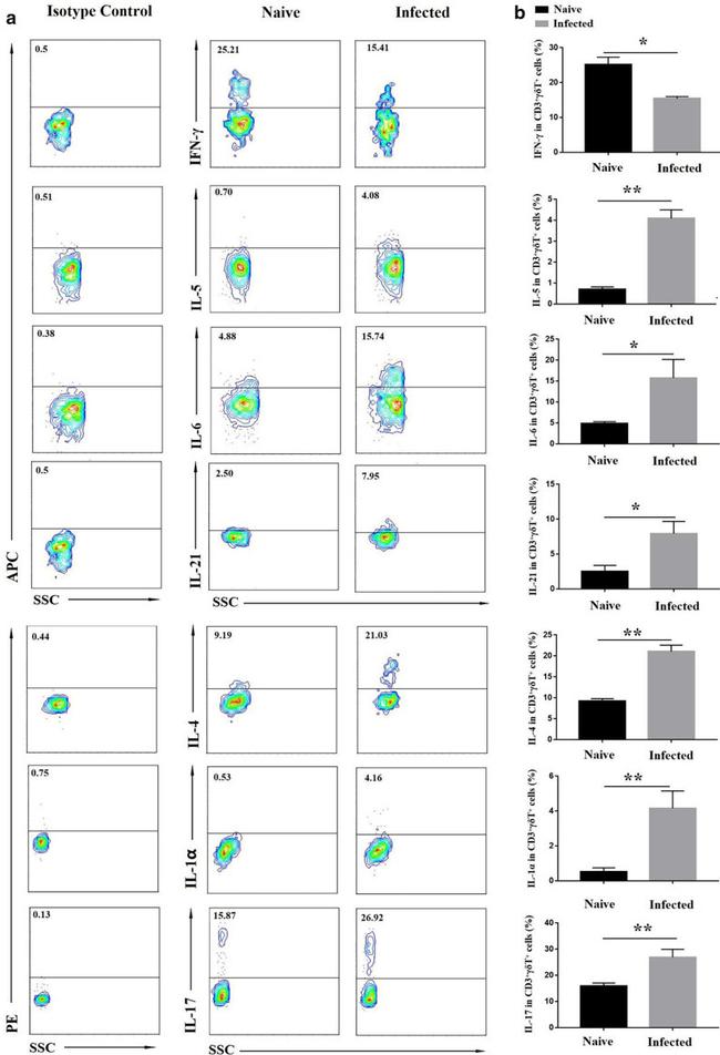 IL-21 Antibody in Flow Cytometry (Flow)