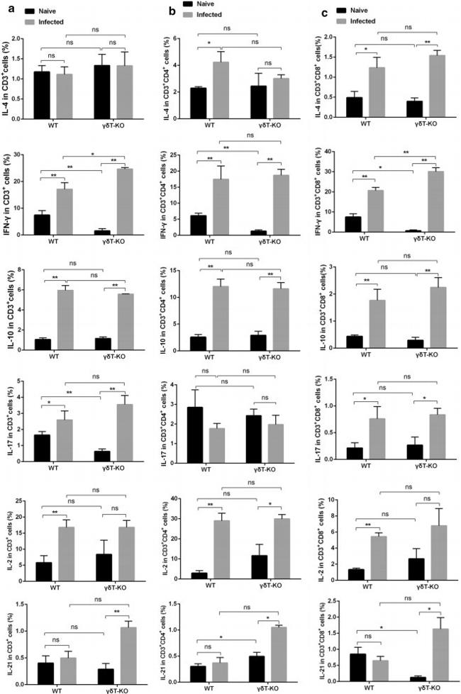 IL-21 Antibody in Flow Cytometry (Flow)