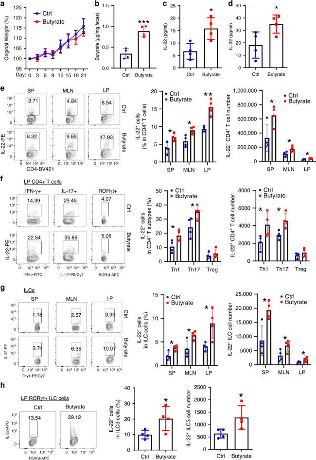 IL-22 Antibody in Flow Cytometry (Flow)