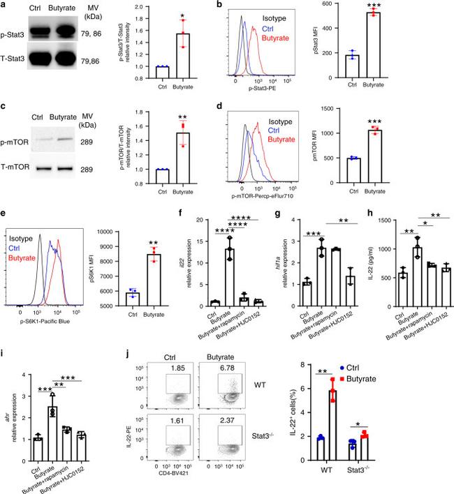 Phospho-mTOR (Ser2448) Antibody in Flow Cytometry (Flow)