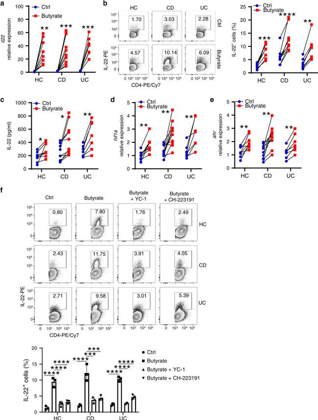 IL-22 Antibody in Flow Cytometry (Flow)