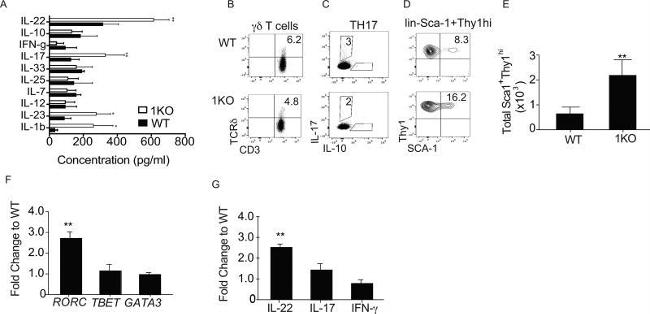 IL-22 Antibody in ELISA (ELISA)