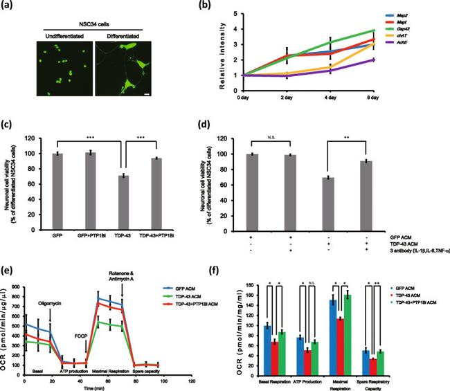 TNF alpha Antibody in Neutralization (Neu)