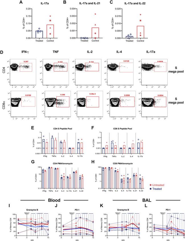 TNF alpha Antibody in Flow Cytometry (Flow)