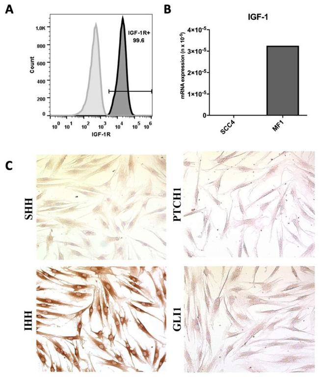 CD221 (IGF1R) Antibody in Flow Cytometry (Flow)