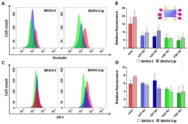 Occludin Antibody in Flow Cytometry (Flow)